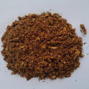 hrastova sjajnica ganoderma lucidum wild reishi / 100g 2500 din